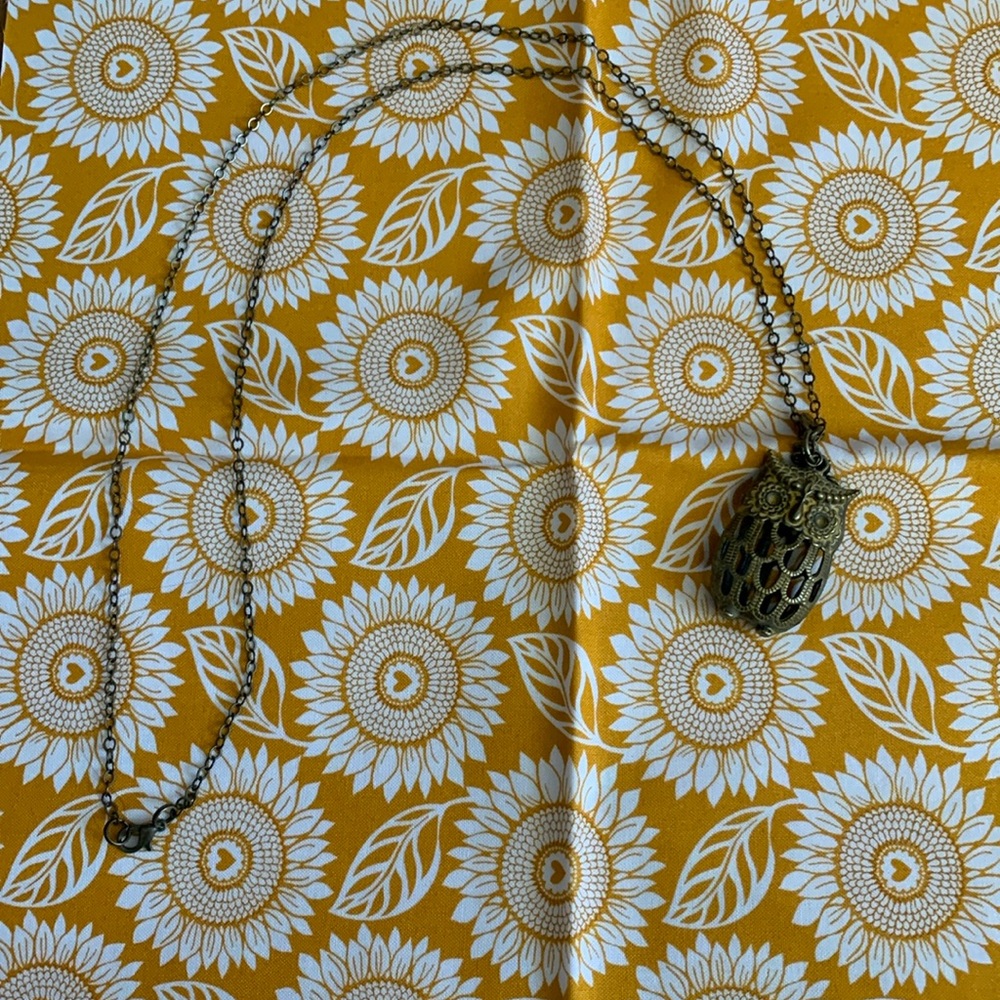 Adorable brass colored owl necklace with flower embellishment. 30” chain. NWOT.